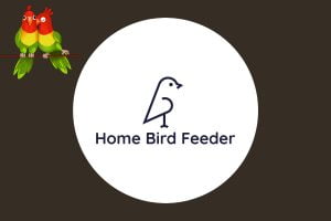 About Us - Home Bird Feeder