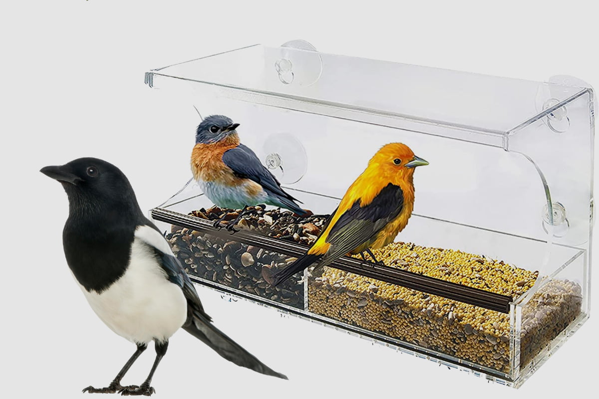 What Are The Different Types Of Window Bird Feeders
