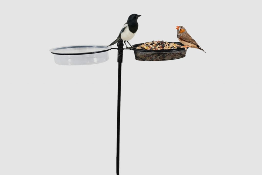 Window bird feeders with stands