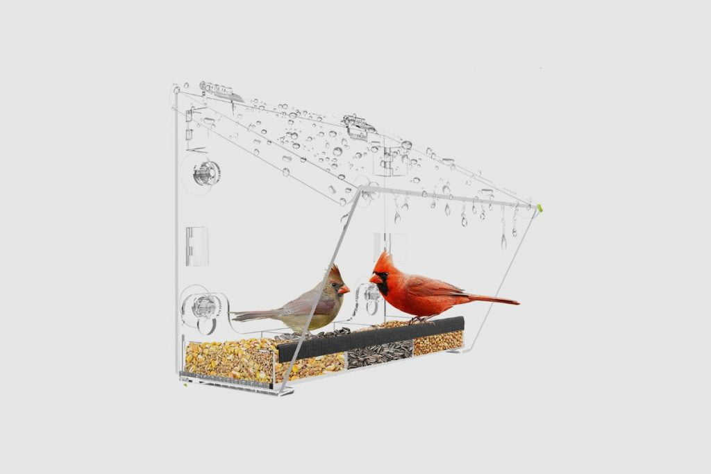 Ermete Window Bird Feeders with Strong Suction Cups