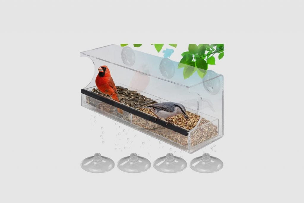 Acrylic Squirrel Proof Rectangle Clear Window Bird Feeder in 2023