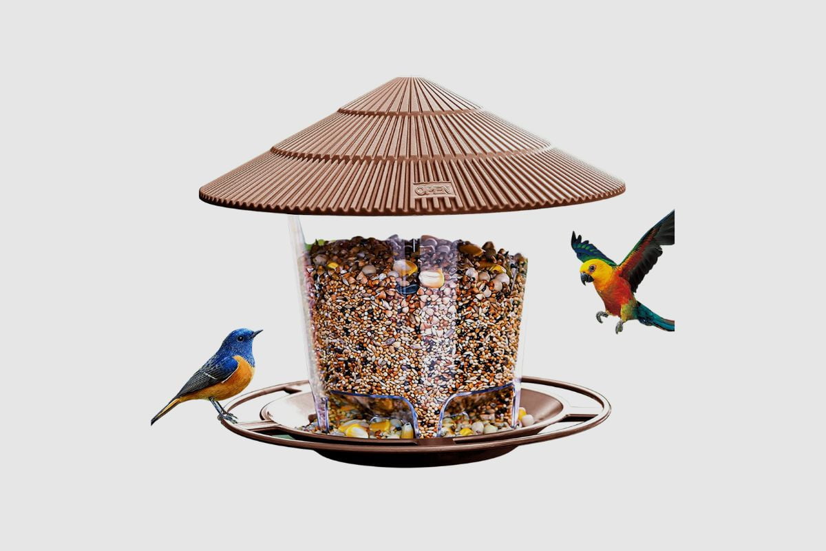How Long Can Birdseed Stay in a Feeder