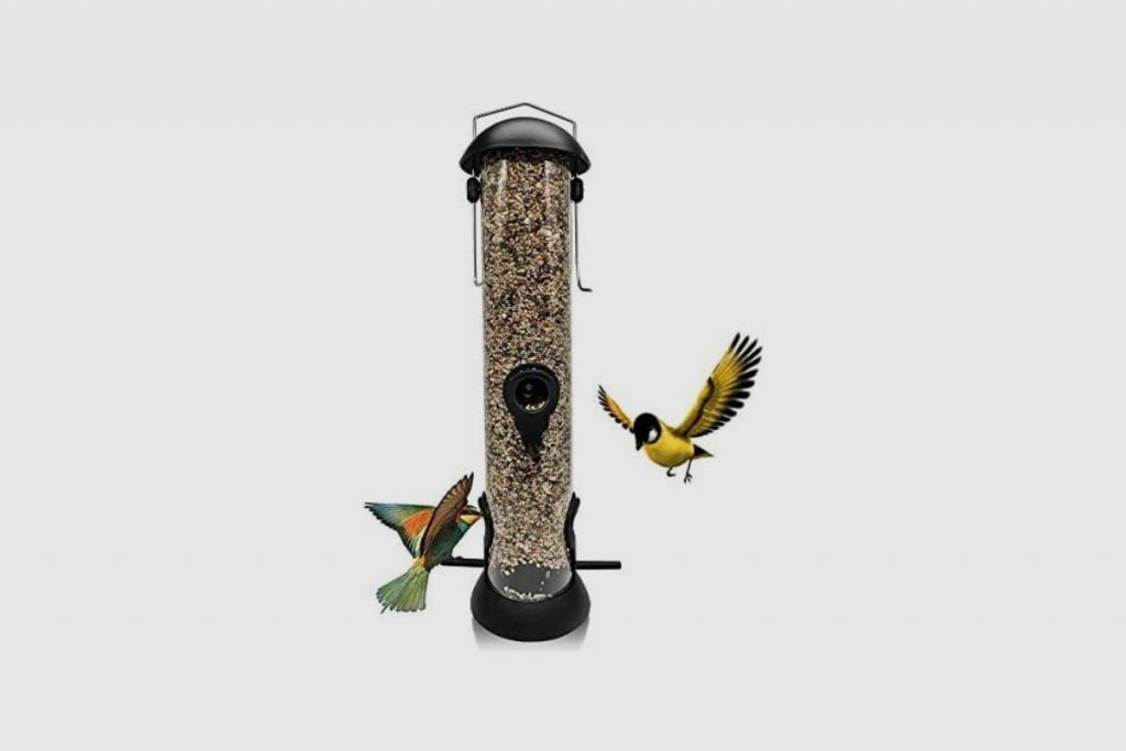 How Long Can Birdseed Stay in a Feeder_