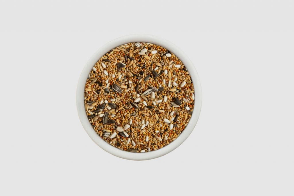 How to Keep Birdseed from Spoiling