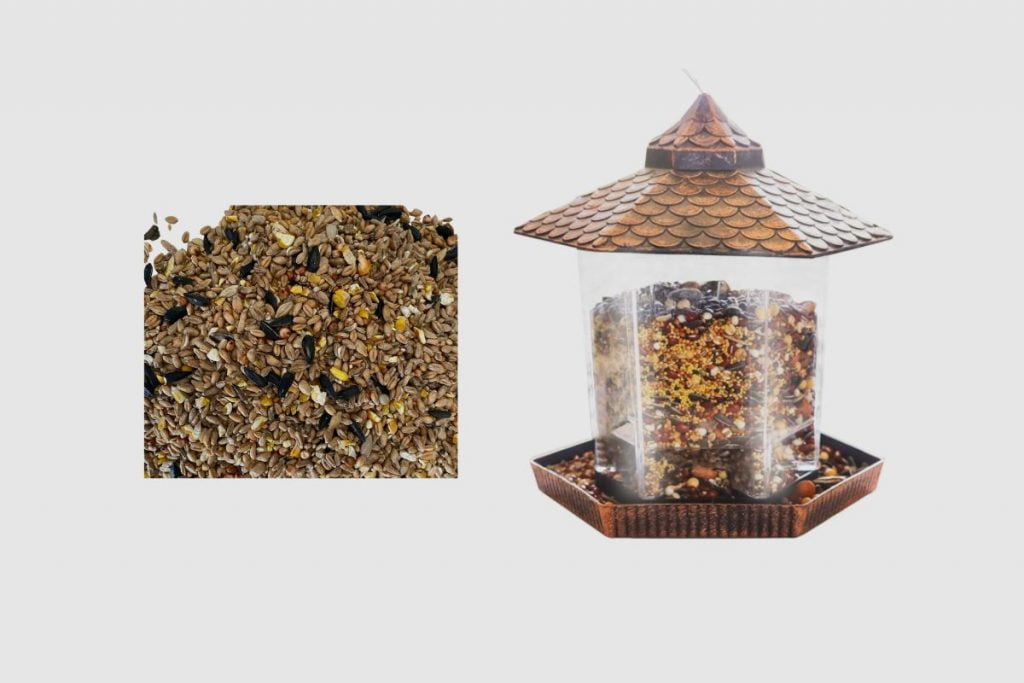 How to Know When Bird Seeds have Gone Bad