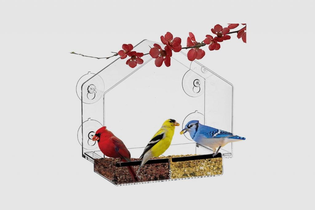 Nature’s Hangout_ Large Sized Clear Window Bird House Feeder with Four Suction Cups