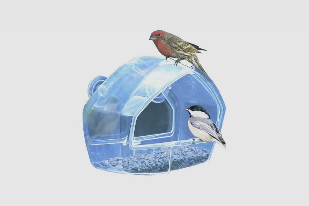 Perky-Pet 348 Clear Birdscapes Window Feeder