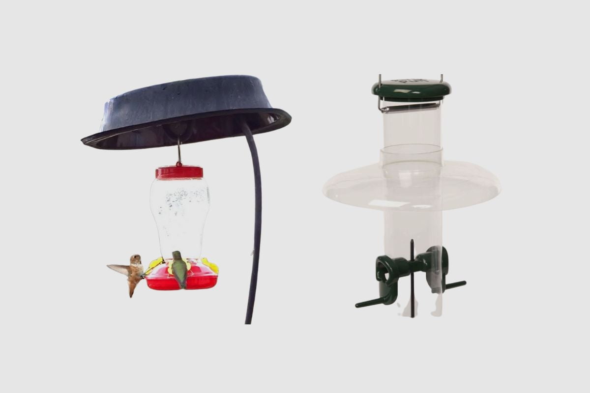 Can You Leave Bird Feeders Out in the Rain? Everything You Need to Know