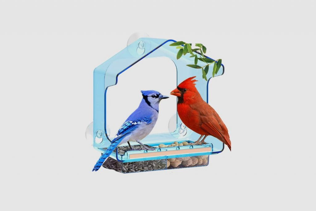 The LUJII Colored Transparent Window Bird Feeder for Outside