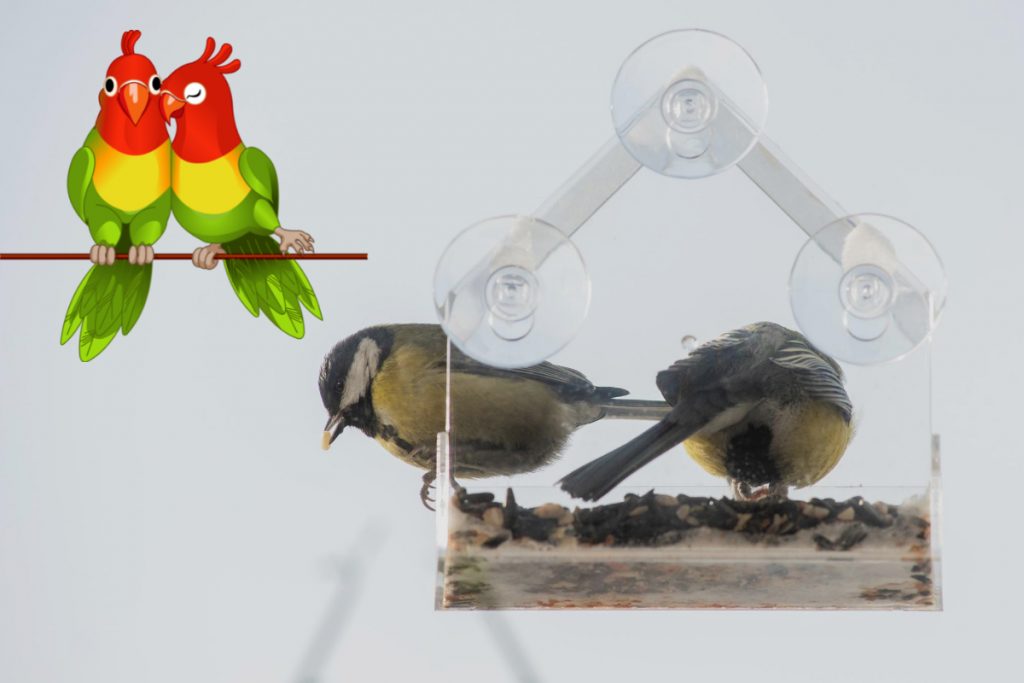 Benefits of a Bird Feeder