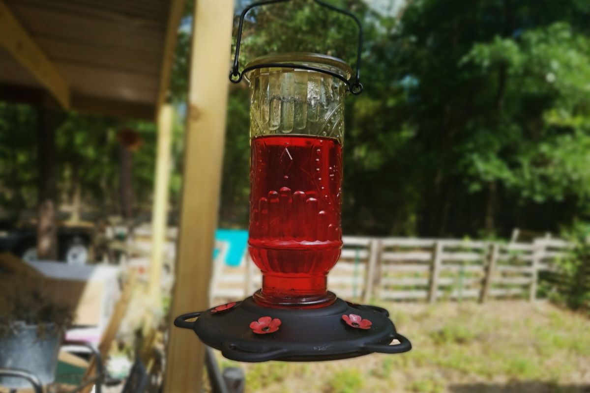 Can You Put Red Food Coloring In Hummingbird Feeder
