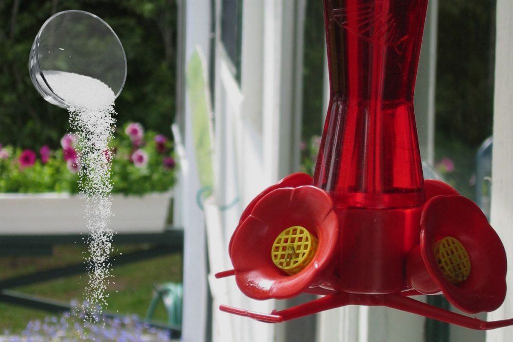 Can You Put Too Much Sugar In A Hummingbird Feeder