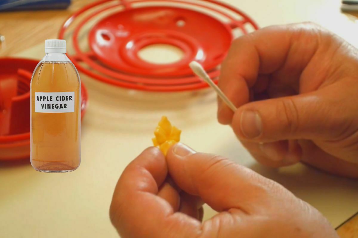 Can You Use Apple Cider Vinegar To Clean Hummingbird Feeder? Home