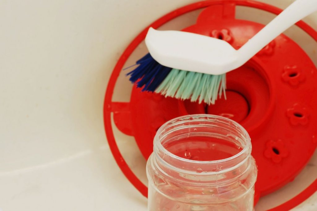 Clean the Feeder Regularly