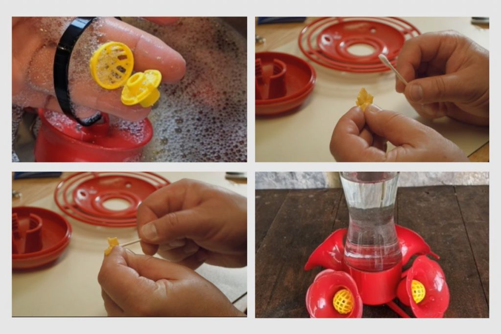 How Do You Clean A Hummingbird Feeder