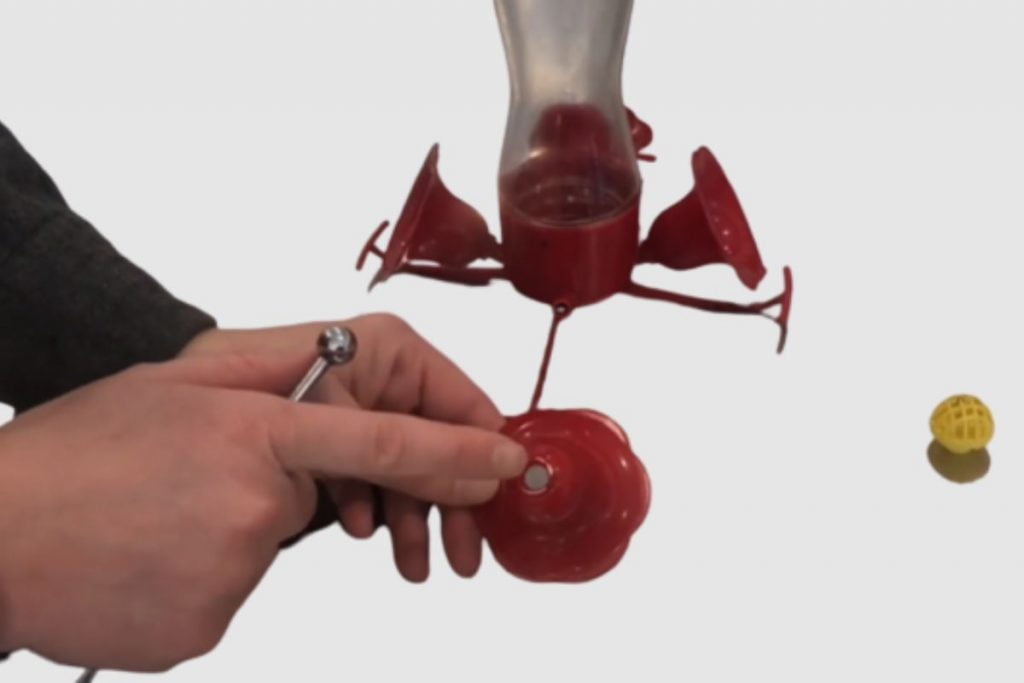 Tips on How to Prevent Hummingbird Feeder Drips and Leaks