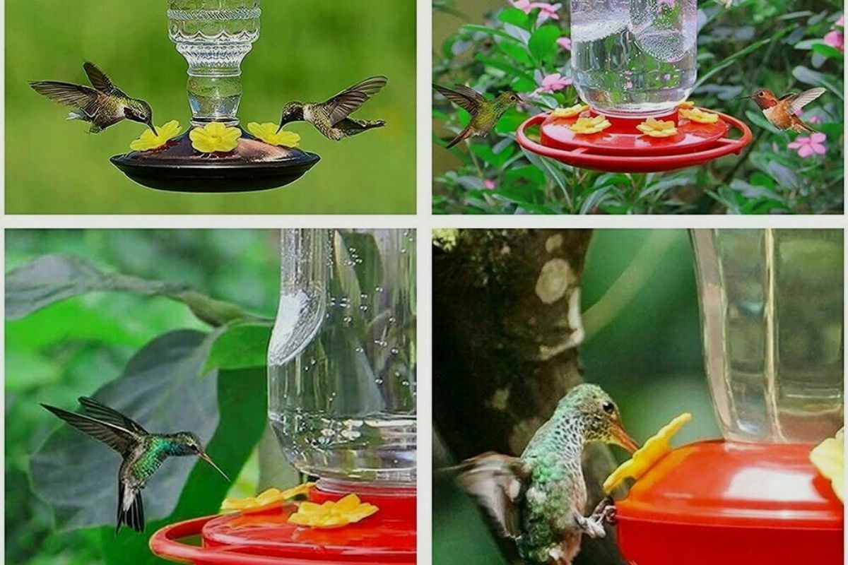 How to Fix a Leaking Hummingbird Feeder