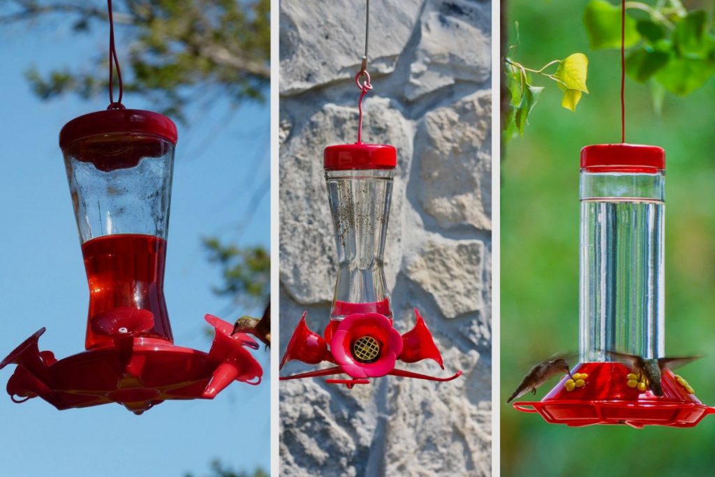 Hummingbird Feeders