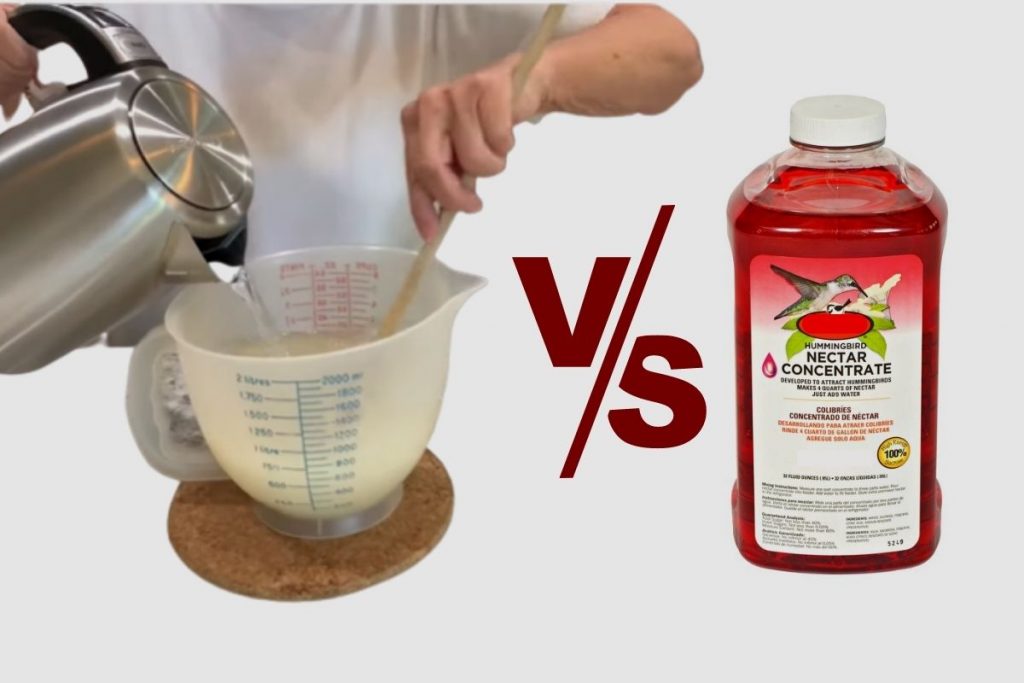 What Are the Benefits of Making Home-Made Nectar Solution Compared to Store-Bought Mix