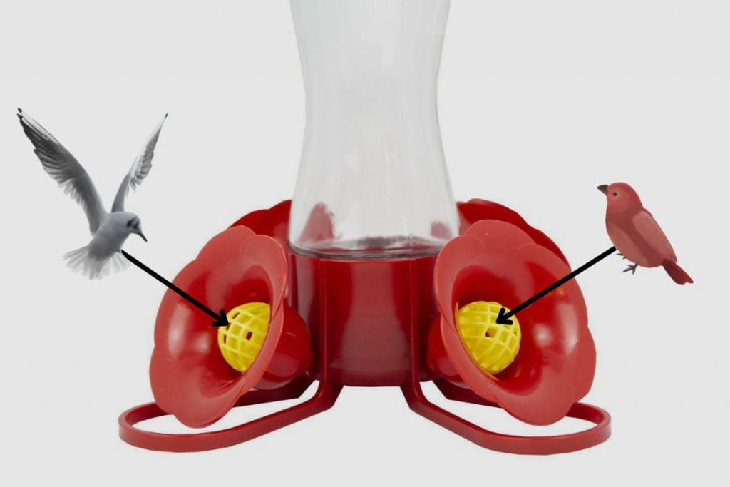 What Causes a Hummingbird Feeder to Leak From the Flowers