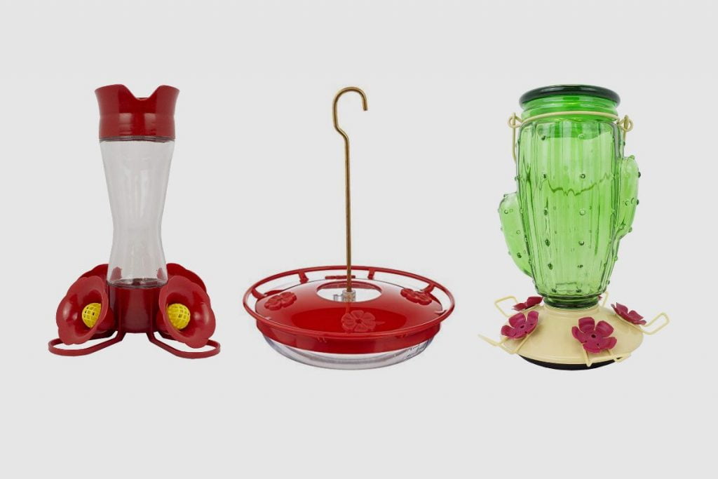 What Is The Best Bee-Proof Hummingbird Feeder