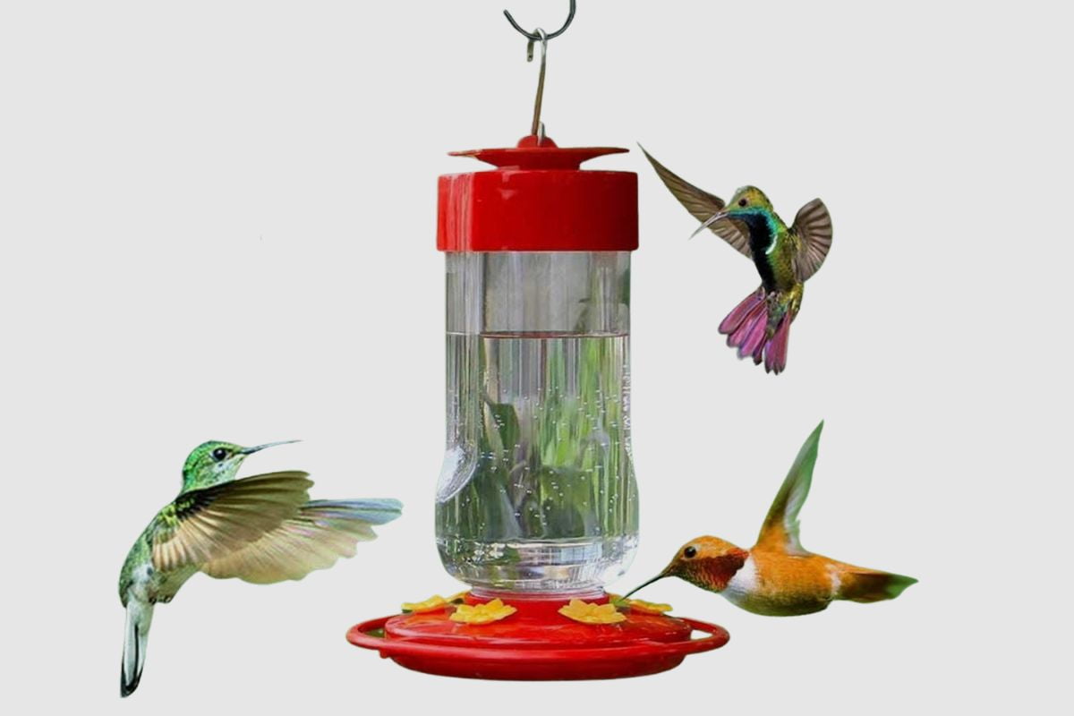 What Makes A Hummingbird Feeder Bee-Proof