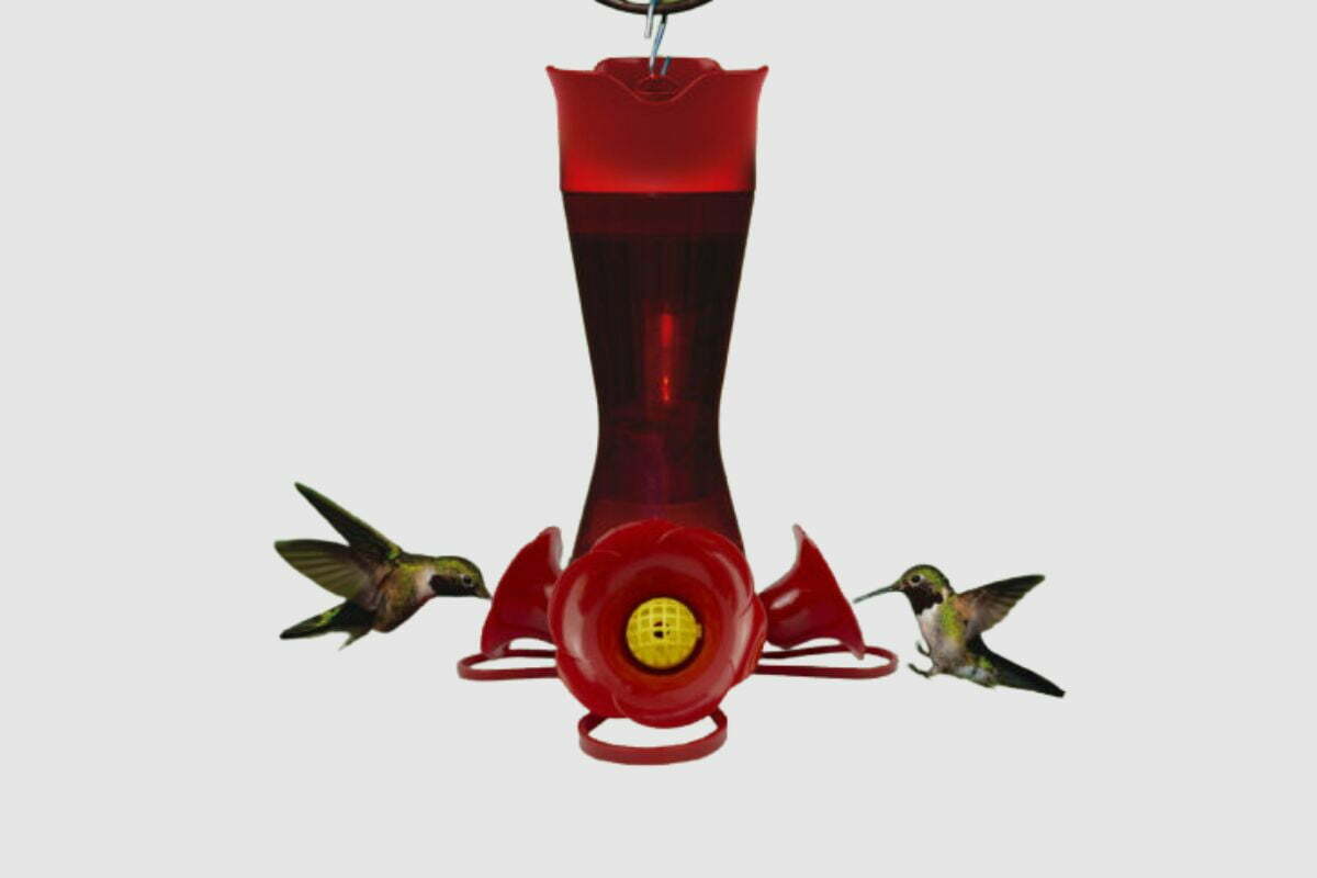 Why Is My Hummingbird Feeder Leaking From The Flowers