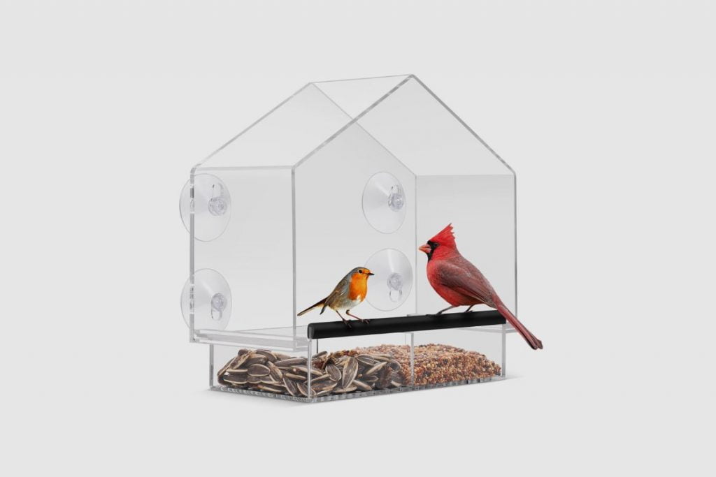 Are Window Bird Feeders Bad