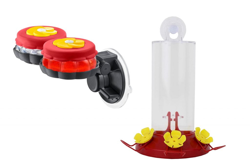 FAQs - Are Window Hummingbird Feeders Safe for Birds