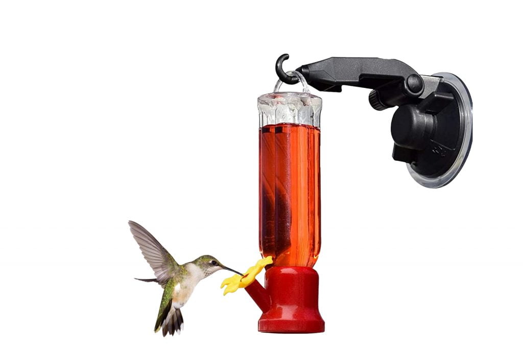 The Right Way to Use a Window Hummingbird Feeder