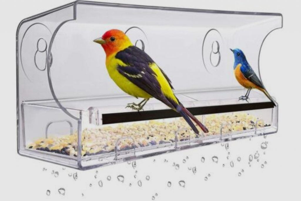 Will birds use a window feeder(1)