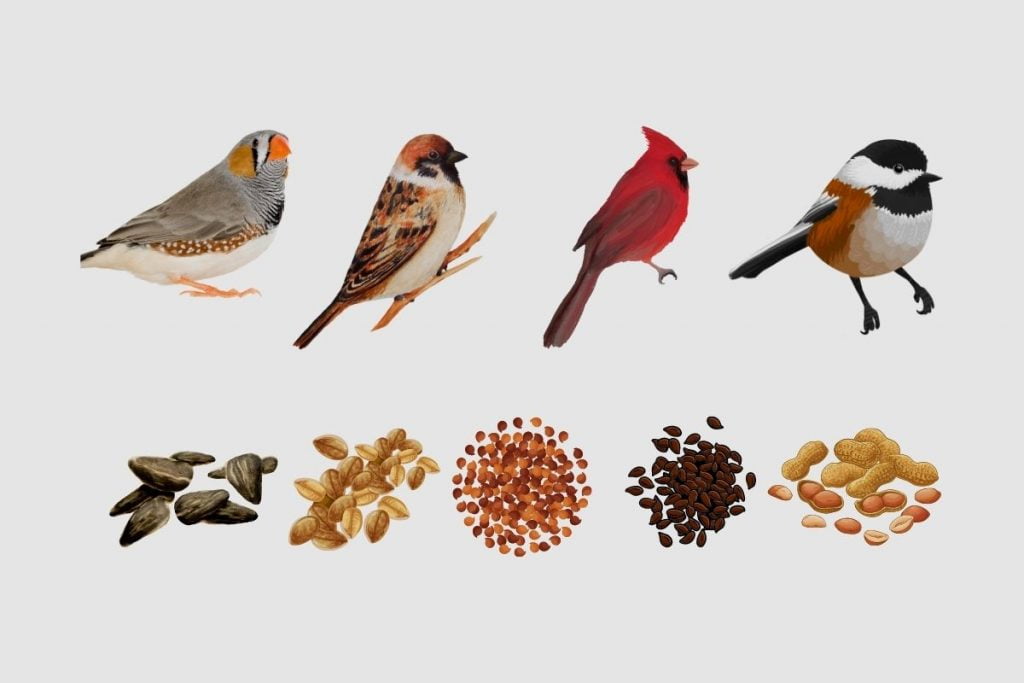 Bird Species and Their Dietary Preferences