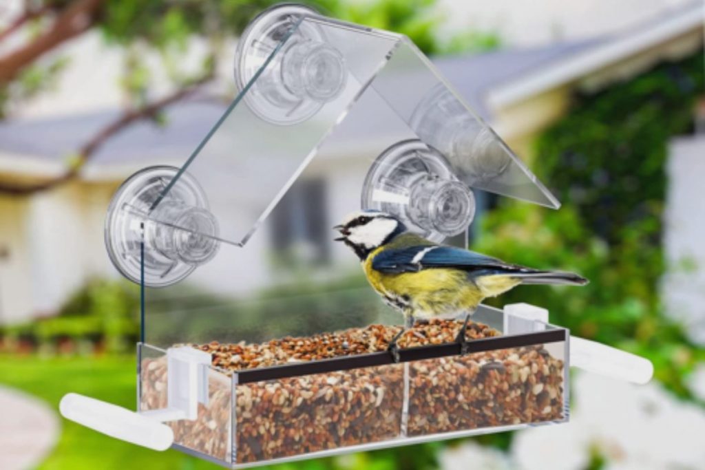 Create a Wildlife-Friendly Garden