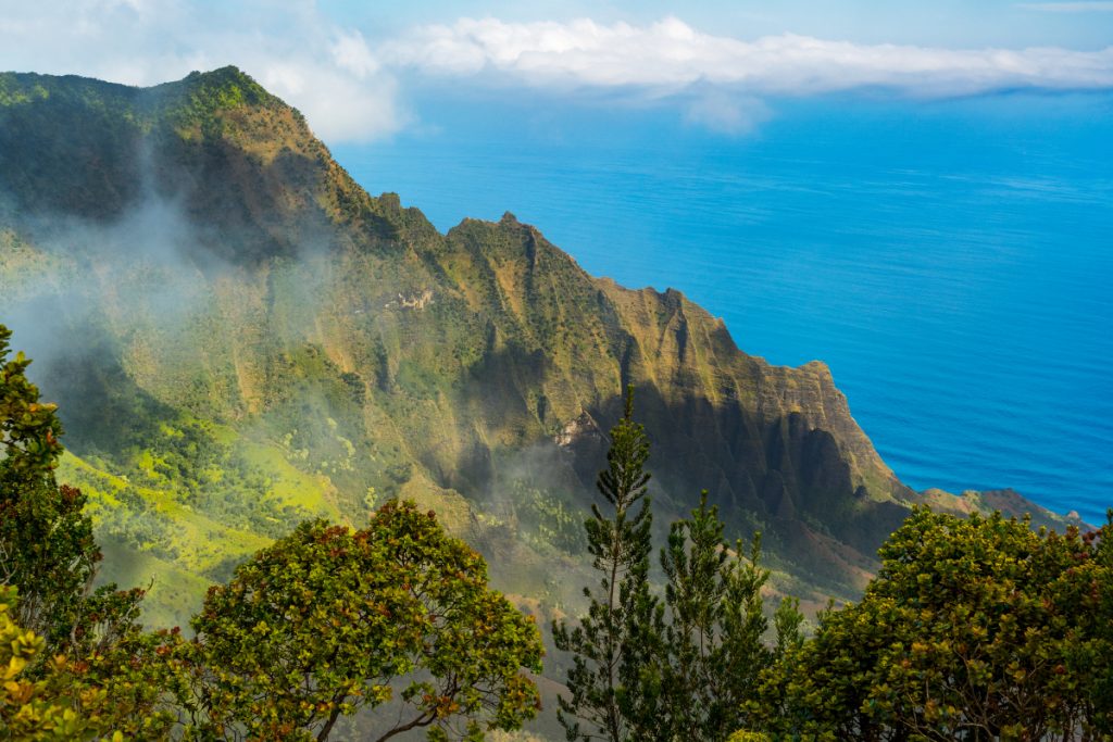 Preserving the Hawaiian Ecosystem