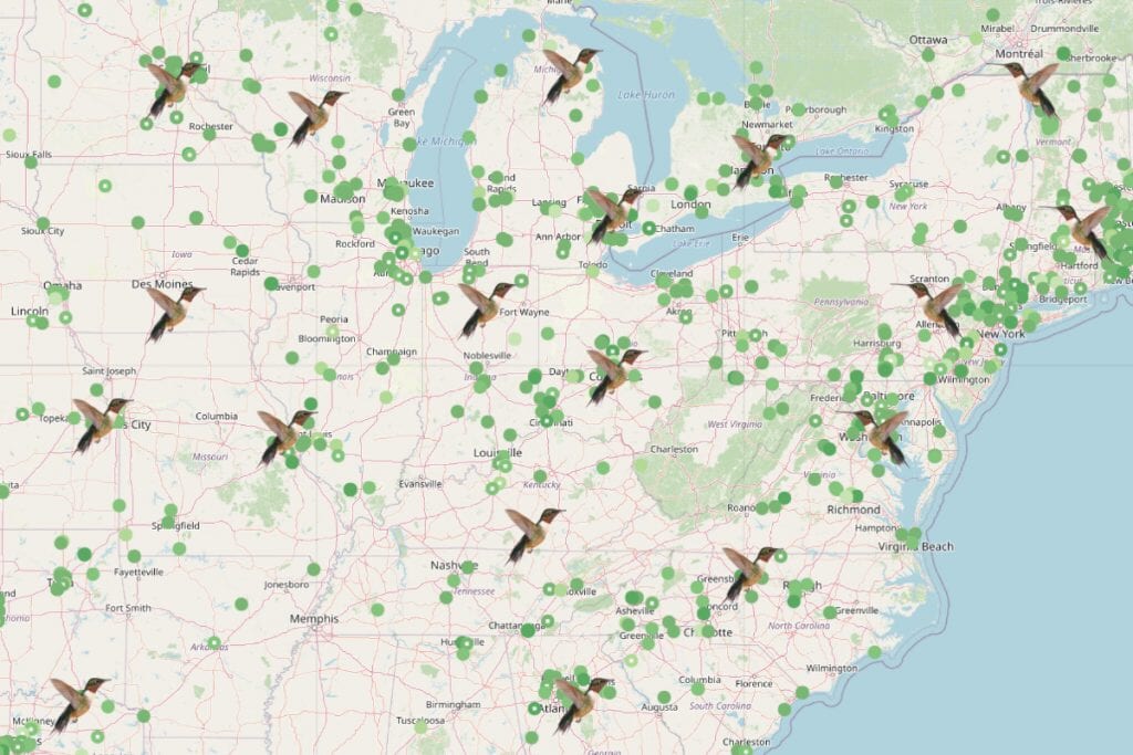 Ruby-Throated Hummingbird Migration Map 2023