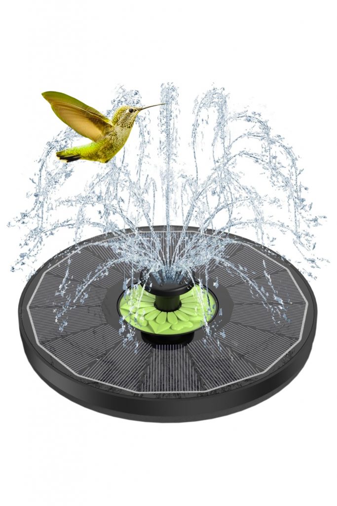 a bird flying over a fountain