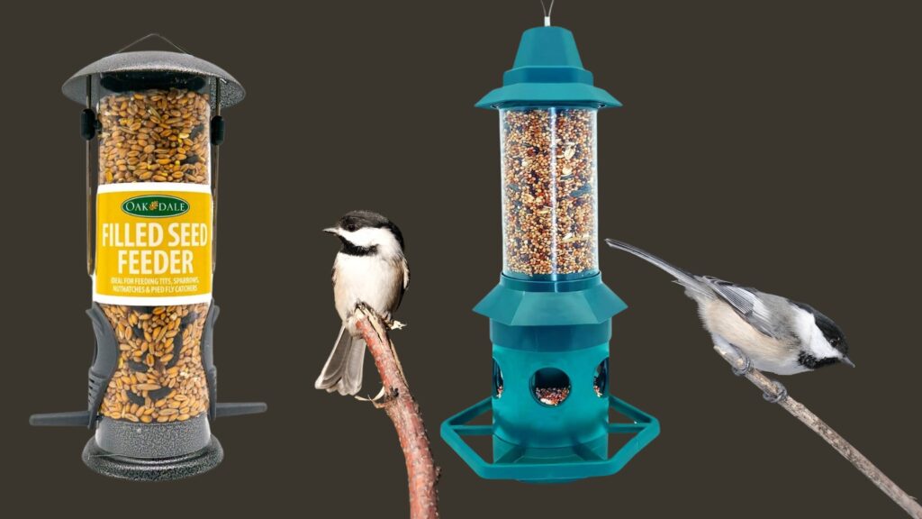 Best Feeders for Chickadees - Best Foods for Chickadees